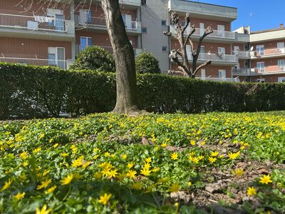 Biodiversità: Savigliano sperimenta lo sfalcio ridotto